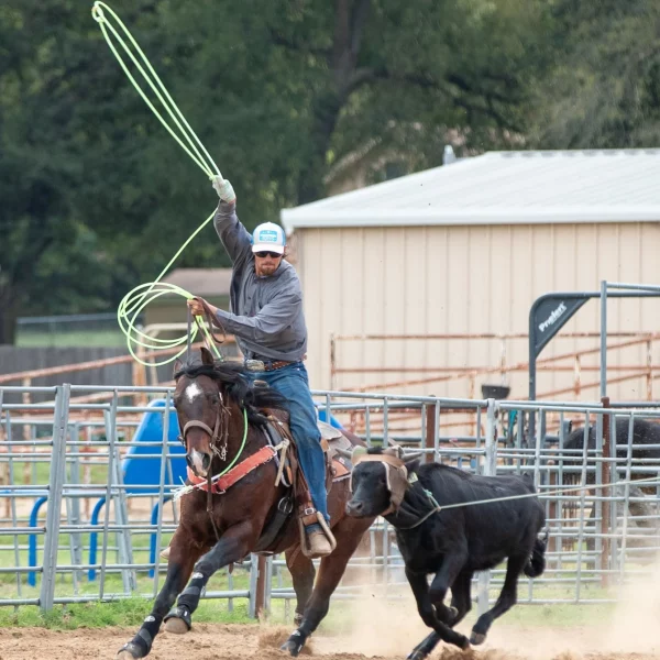 Precision Ropes - Amazon 6 - Image 3
