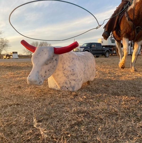 Team Roping sled - Image 3
