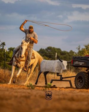 Team Roping sled