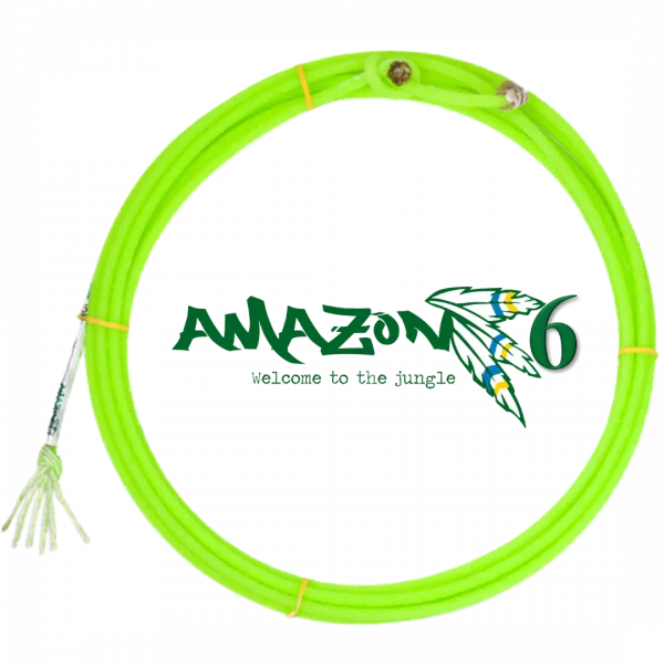 Precision Ropes - Amazon 6