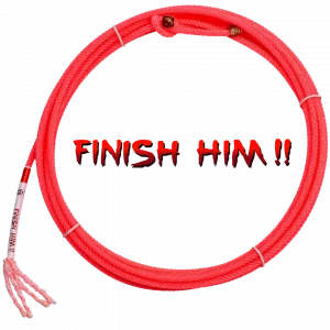 Precision Ropes - Finish Him 4