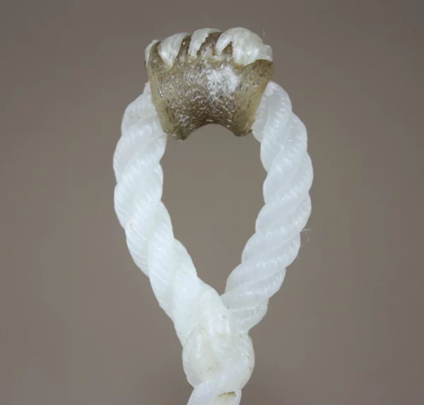 Precision Ropes - Calf Strings