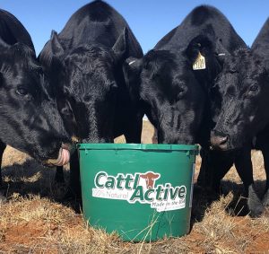 CattlActive® 13% All-Natural Stress Tub